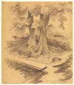 Sketch- Two tamarind trees